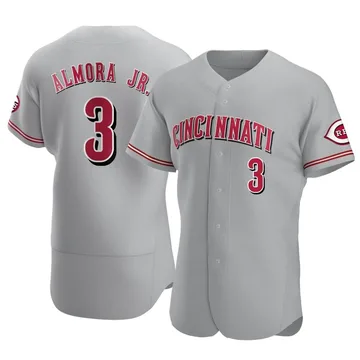 Albert Almora Jr. Men's Cincinnati Reds Authentic Road Jersey - Gray