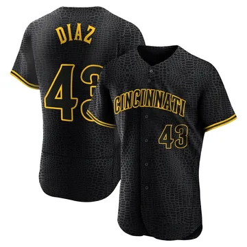 Alexis Diaz Men's Cincinnati Reds Authentic Snake Skin City Jersey - Black