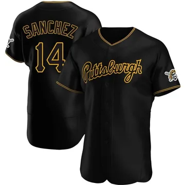 Ali Sanchez Men's Pittsburgh Pirates Authentic Alternate Team Jersey - Black