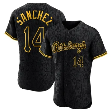 Ali Sanchez Men's Pittsburgh Pirates Authentic Snake Skin City Jersey - Black