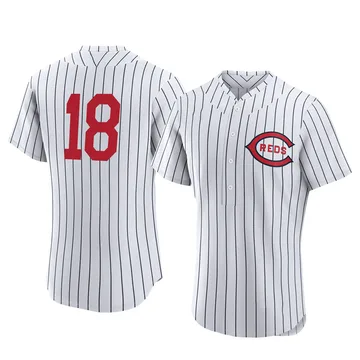 Benito Santiago Men's Cincinnati Reds Authentic 2022 Field Of Dreams Jersey - White