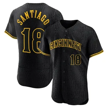 Benito Santiago Men's Cincinnati Reds Authentic Snake Skin City Jersey - Black