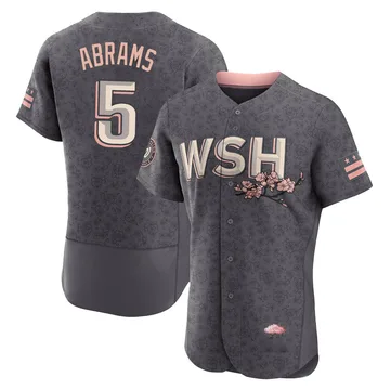 CJ Abrams Men's Washington Nationals Authentic 2022 City Connect Jersey - Gray