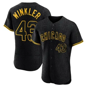 Dan Winkler Men's Chicago Cubs Authentic Snake Skin City Jersey - Black