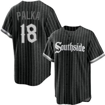 Daniel Palka Youth Chicago White Sox Replica 2021 City Connect Jersey - Black