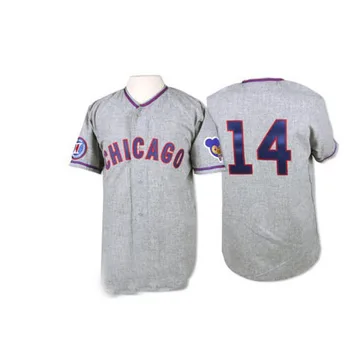 Ernie Banks Men's Chicago Cubs Authentic 1968 Throwback Jersey - Grey