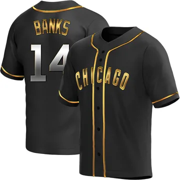 Ernie Banks Men's Chicago Cubs Replica Alternate Jersey - Black Golden