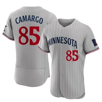 Jair Camargo Men's Minnesota Twins Authentic Road Jersey - Gray