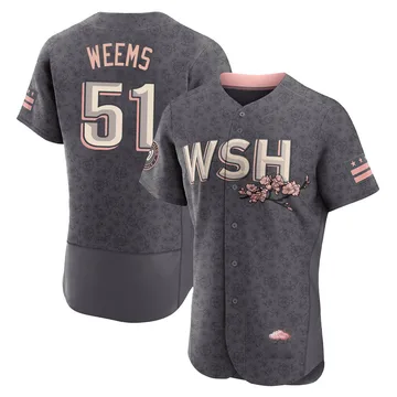 Jordan Weems Men's Washington Nationals Authentic 2022 City Connect Jersey - Gray