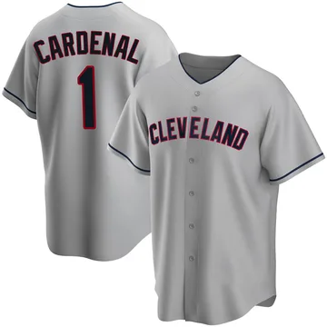 Jose Cardenal Men's Cleveland Guardians Replica Road Jersey - Gray