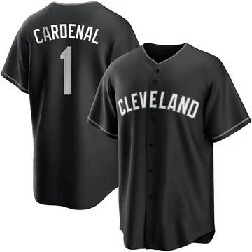 Jose Cardenal Youth Cleveland Guardians Replica Jersey - Black/White