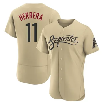 Jose Herrera Men's Arizona Diamondbacks Authentic 2021 City Connect Jersey - Gold