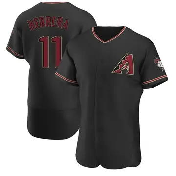 Jose Herrera Men's Arizona Diamondbacks Authentic Alternate Jersey - Black