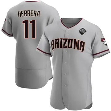 Jose Herrera Men's Arizona Diamondbacks Authentic Road 2023 World Series Jersey - Gray