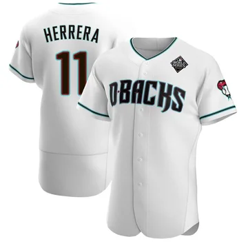 Jose Herrera Men's Arizona Diamondbacks Authentic Teal Alternate 2023 World Series Jersey - White