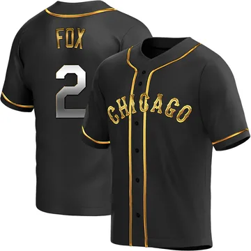 Nellie Fox Men's Chicago White Sox Replica Alternate Jersey - Black Golden